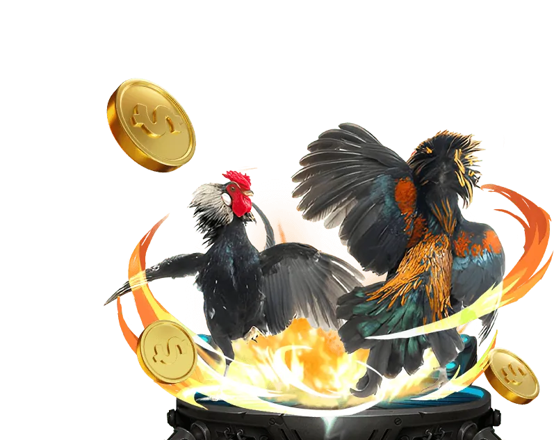 Giới thiệu Kubet 3393