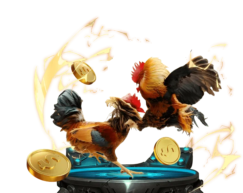 Sự kiện thể thao mới nhất của Kubet 3393